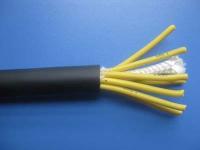 起重機(jī)控制電纜 規(guī)格、類型與應(yīng)用指南