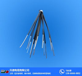控制電纜選購(gòu)指南 為何升通電纜與銅陵控制電纜備受關(guān)注